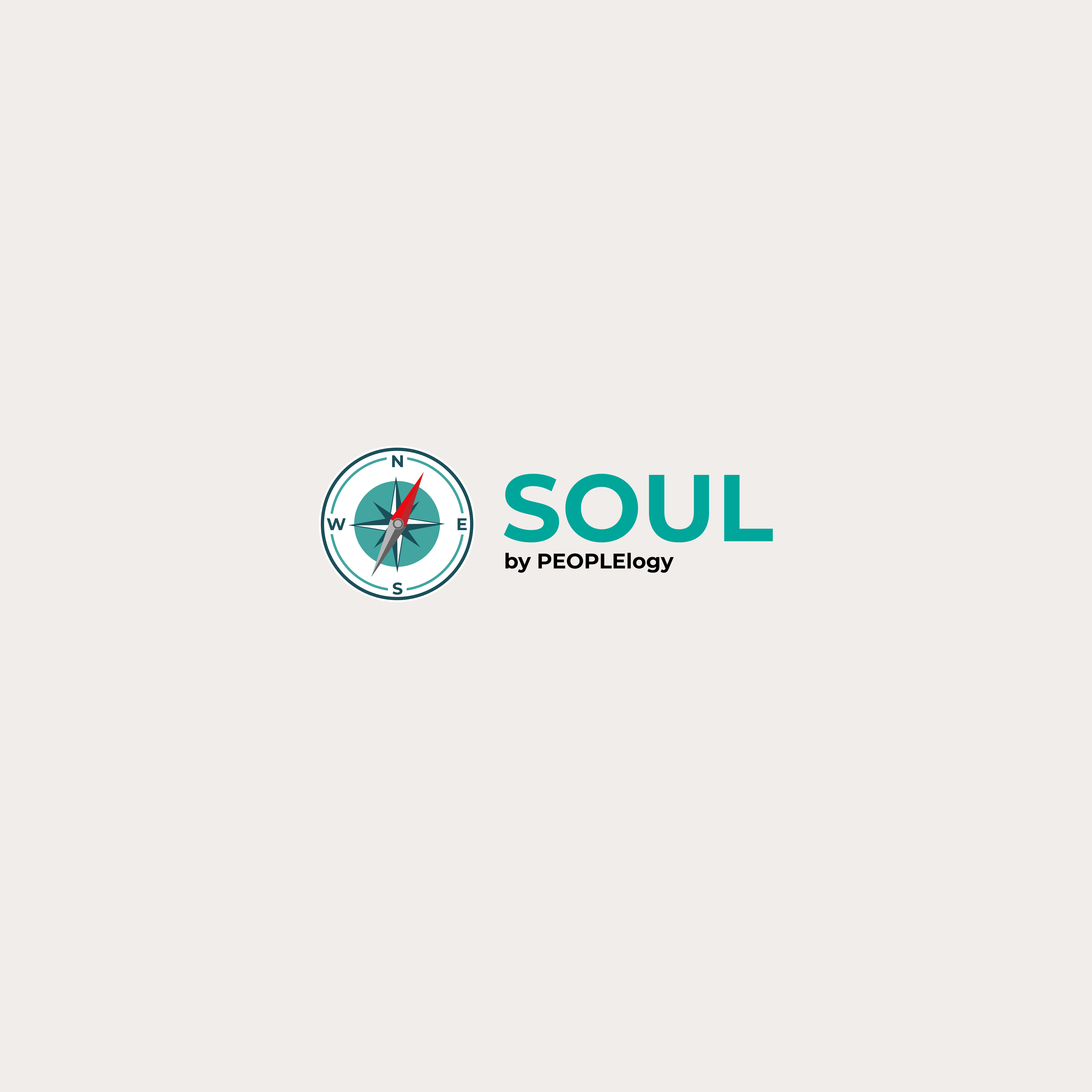 SOUL UX & UI